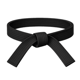 Black Belt certification