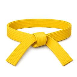 Yellow Belt certification